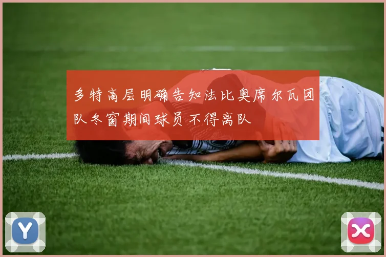 多特高层明确告知法比奥席尔瓦团队冬窗期间球员不得离队