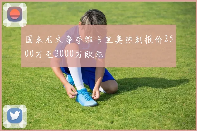国米尤文争夺维卡里奥热刺报价2500万至3000万欧元